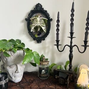 🕯️💀🪦🖤 gothic bones Halloween Handmade Spooky wall Decor with moss